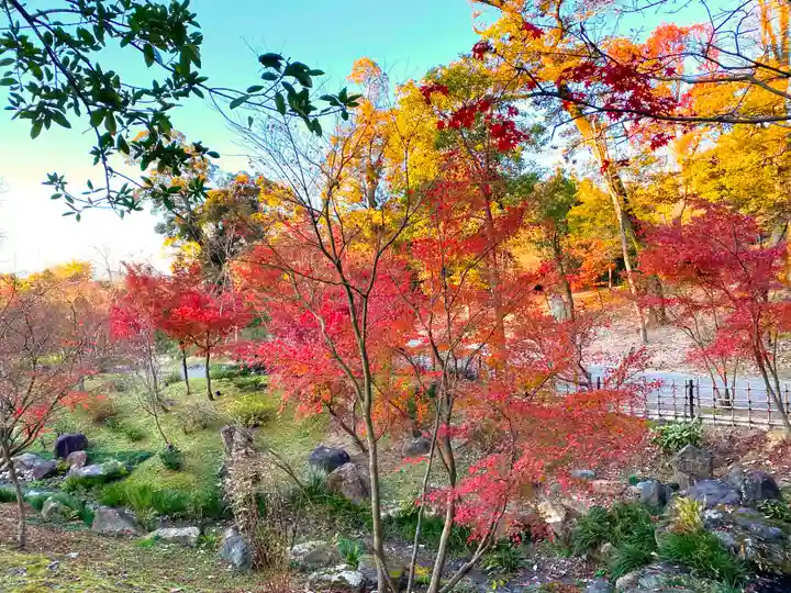 伏見稲荷大社の自然