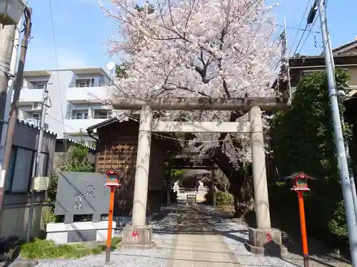 印内八坂神社の鳥居