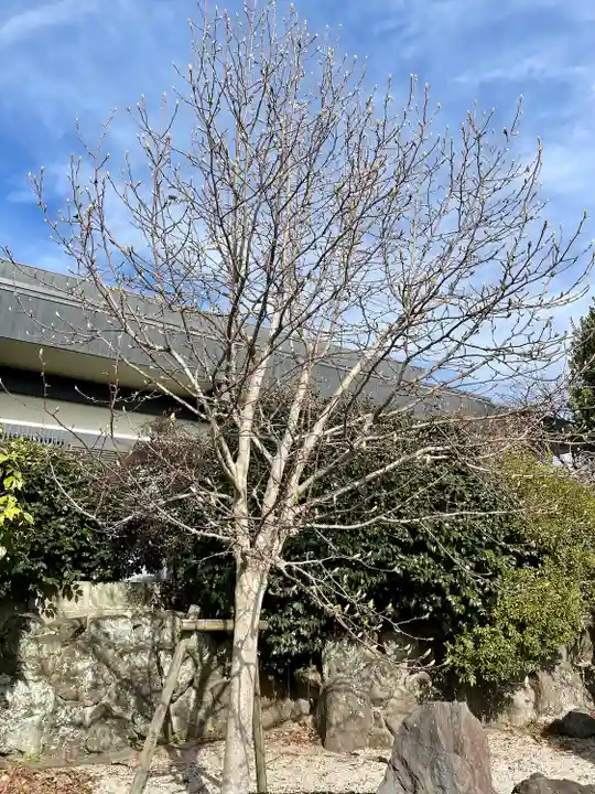 高長寺(神奈川県)