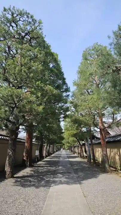 大徳寺(京都府)