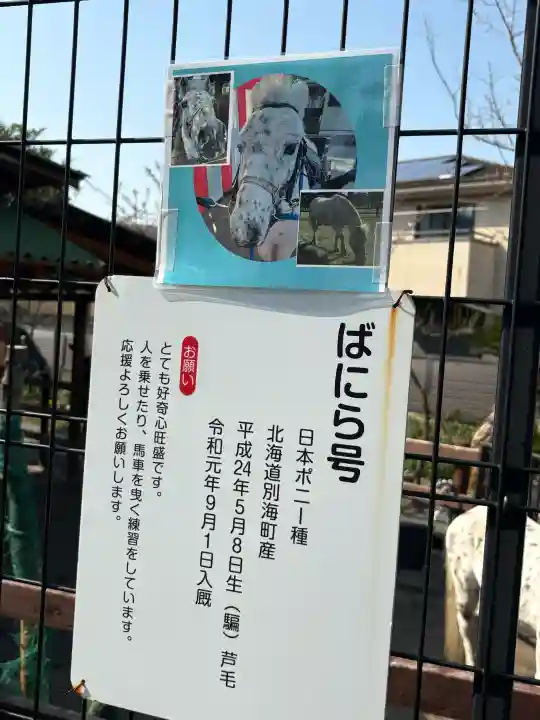 五方山熊野神社の{uncategorized: "未分類", other: "その他", undefined: "問題あり", building: "その他建物", grave: "お墓", sacred_gate: "鳥居", guardian: "狛犬", statue: "像", buddha: "仏像", history: "歴史", nature: "自然", garden: "庭園", animal: "動物", pagoda: "塔", temizu: "手水舎", mountain_gate: "山門・神門", sanctuary: "本殿・本堂", subordinate: "末社・摂社", art: "芸術", scenery: "景色", jizo: "地蔵", ema: "絵馬", goshuin: "御朱印", omikuji: "おみくじ", items: "授与品その他", amulet: "お守り", goshuincho: "御朱印帳", eats: "食事", festival: "お祭り", votive_dance: "神楽", shichigosan: "七五三参", wedding: "結婚式", experience: "体験その他", initially: "初詣", around: "周辺", anti_infection: "感染症対策"}