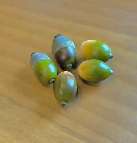 蚊里田八幡宮(長野県)