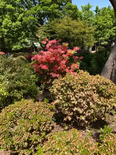 根津神社の自然