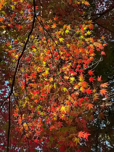 慈光寺(埼玉県)
