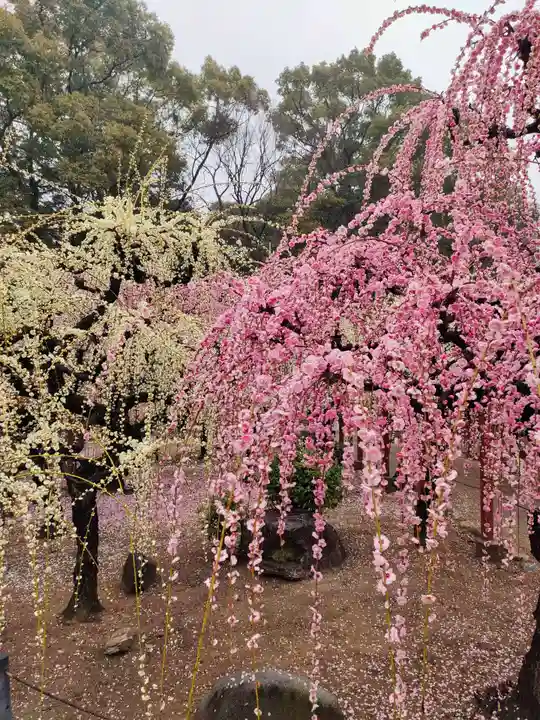 結城神社の庭園