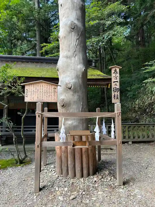 諏訪大社下社春宮(長野県)