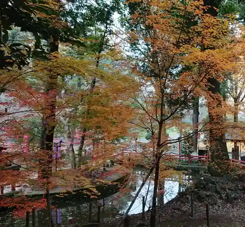 間々田八幡宮の庭園