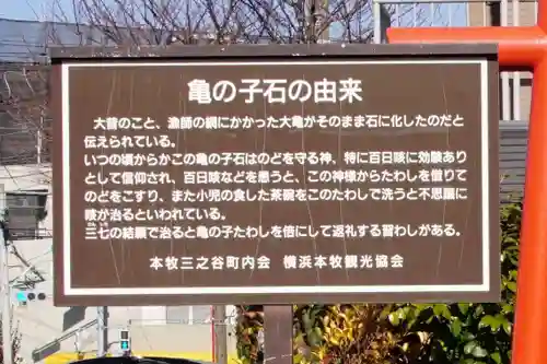 亀の子石神社（亀の子様）(神奈川県)