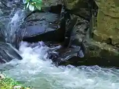 浄蓮寺の自然