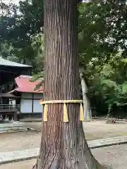 青葉神社(宮城県)