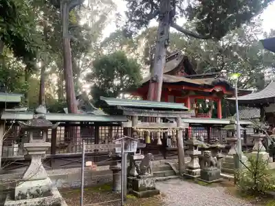 日根神社(大阪府)