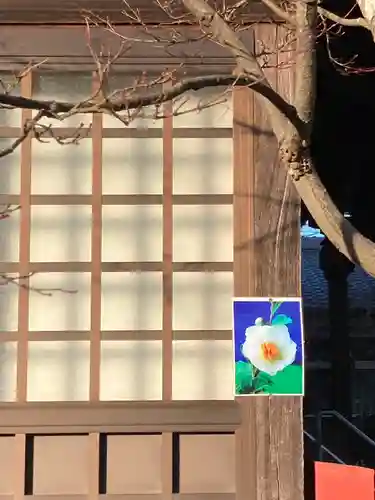 薬常寺の本殿・本堂