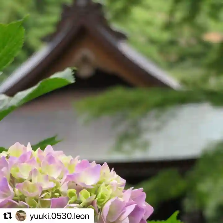 普門寺(切り絵御朱印発祥の寺)の自然