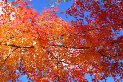 醍醐寺(京都府)
