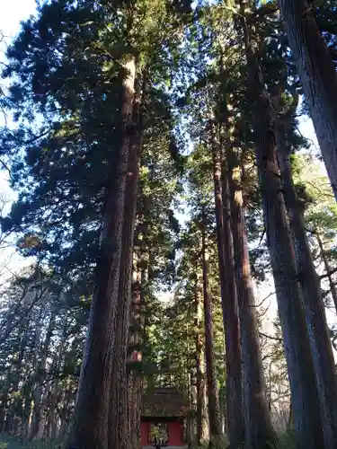 戸隠神社九頭龍社のその他建物