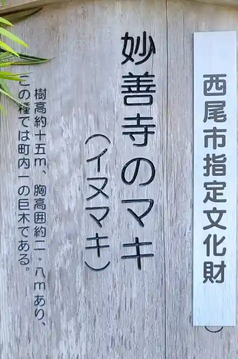 妙善寺(ハズ観音)(愛知県)