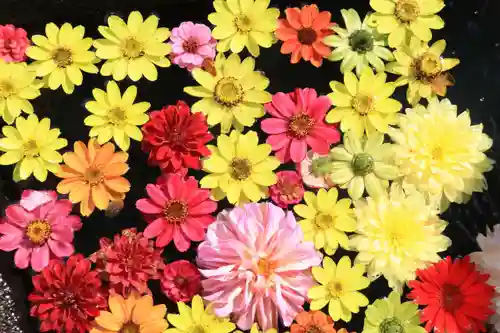大鏑神社の手水舎
