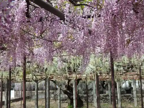 長泉寺の景色