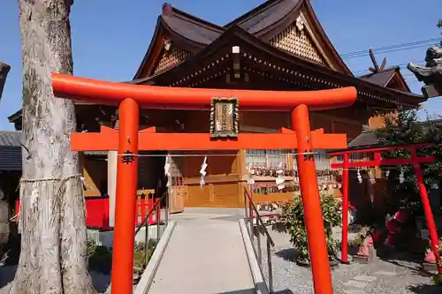 於菊稲荷神社の鳥居