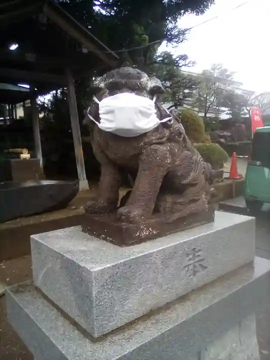 金ヶ作熊野神社の狛犬