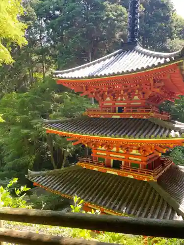岩船寺の{uncategorized: "未分類", other: "その他", undefined: "問題あり", building: "その他建物", grave: "お墓", sacred_gate: "鳥居", guardian: "狛犬", statue: "像", buddha: "仏像", history: "歴史", nature: "自然", garden: "庭園", animal: "動物", pagoda: "塔", temizu: "手水舎", mountain_gate: "山門・神門", sanctuary: "本殿・本堂", subordinate: "末社・摂社", art: "芸術", scenery: "景色", jizo: "地蔵", ema: "絵馬", goshuin: "御朱印", omikuji: "おみくじ", items: "授与品その他", amulet: "お守り", goshuincho: "御朱印帳", eats: "食事", festival: "お祭り", votive_dance: "神楽", shichigosan: "七五三参", wedding: "結婚式", experience: "体験その他", initially: "初詣", around: "周辺", anti_infection: "感染症対策"}
