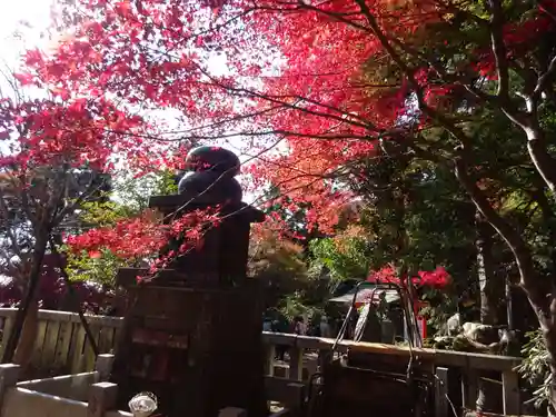 大山阿夫利神社のその他建物
