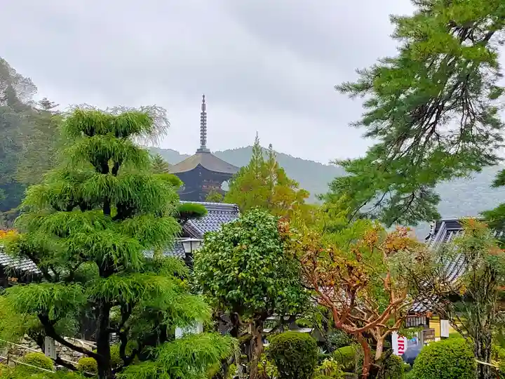 瑠璃光寺(山口県)