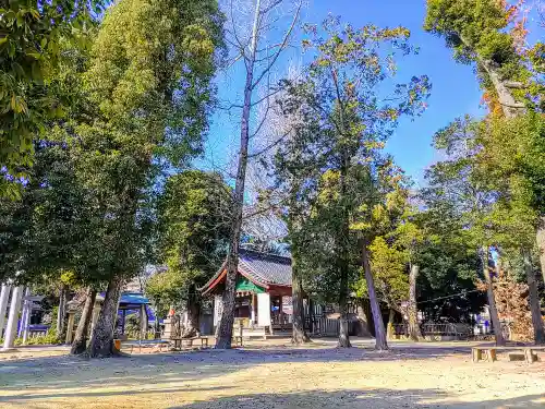 東栄八幡社の自然