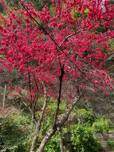 御霊神社(神奈川県)