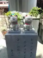 今戸神社の狛犬