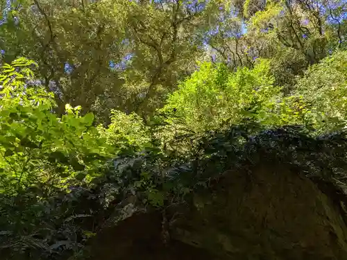 出雲大社(島根県)