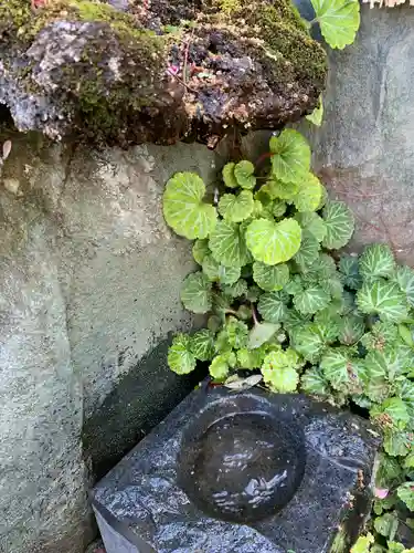 瀧宮神社(埼玉県)