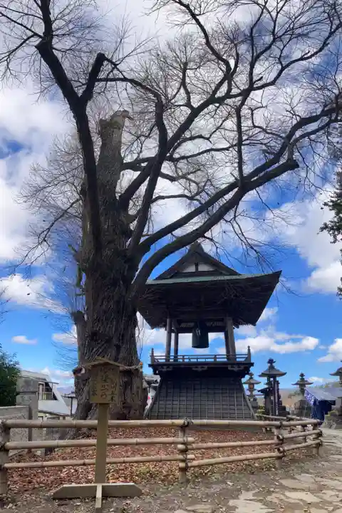 北向観音のその他建物