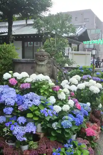 白山神社(東京都)