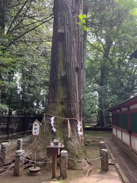 一言主神社(茨城県)