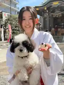 柏神社(千葉県)(2026年03月09日(月) 19時33分32秒投稿)