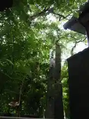 春日神社の建物その他