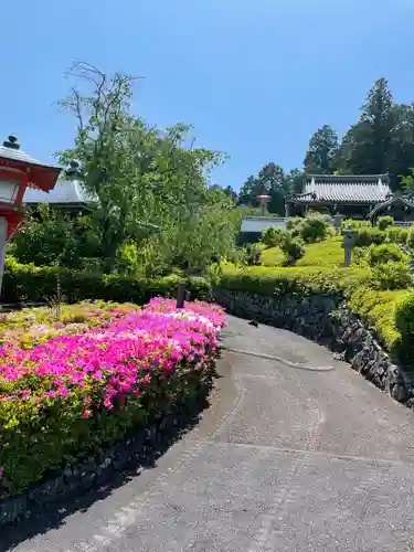 善峯寺(京都府)