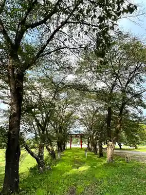 子檀嶺神社(長野県)
