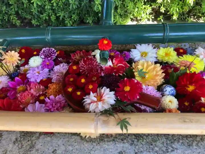 伊和志津神社の手水舎