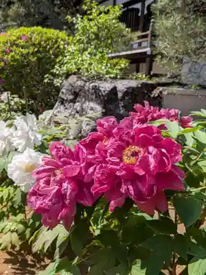 愛染院(東京都)