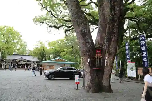 加藤神社(熊本県)