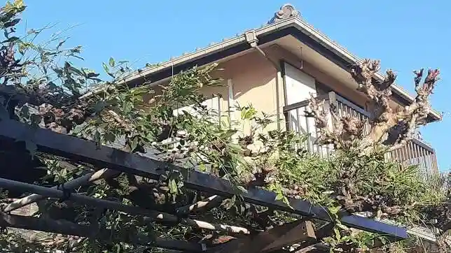 西方山極楽寺(岐阜県)