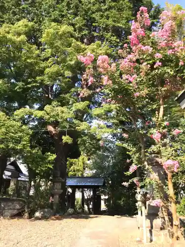 玉林寺の自然