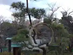 清水観音堂の庭園