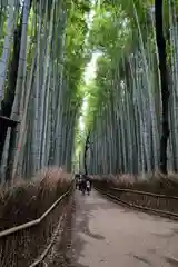 野宮神社(京都府)