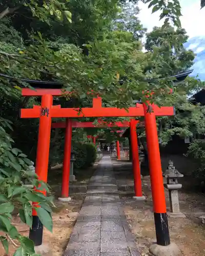 竹中稲荷神社（吉田神社末社）の鳥居