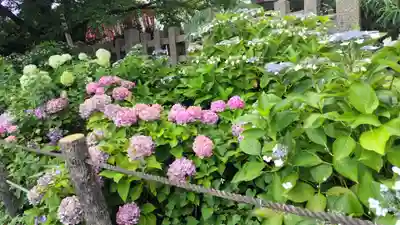 六孫王神社(京都府)