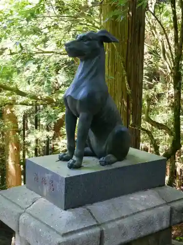 三峯神社の狛犬