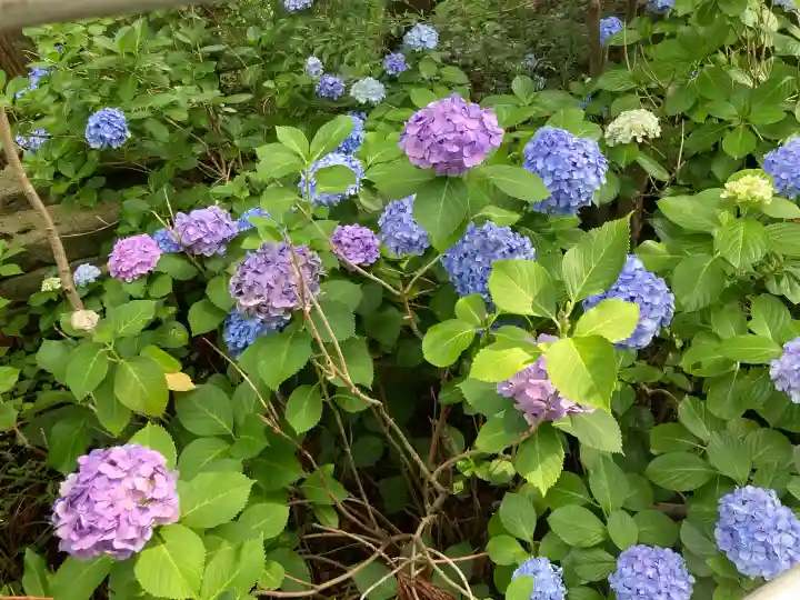 円覚寺(神奈川県)